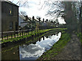 New River Loop, looking towards the Town Park, Enfield.