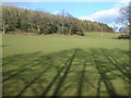 Woodland and evening shadows