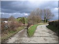 Bridleway Junction at Tan-y-coed