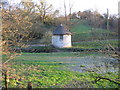 Waterlogged meadow