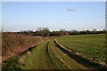 Bridleway to Houghton Hall