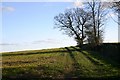 Footpath to Poslingford