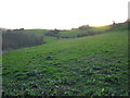 Infilled trackbed of the GWR Camerton Branch.