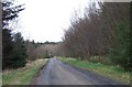 Road through Megray Wood