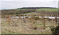 Small Pond on Reclaimed Opencast Land