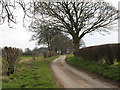 Pasture Lane near Helperby