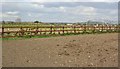 Agricultural Land to the North of Sopley