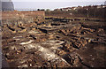 Site of blast furnaces, Summerlee