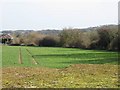 View across field