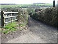 Looking E down Shelvin Farm Road