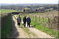 Lane to Fobdown Farm