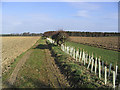 Farmland west of Littlehoughton