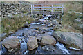NY3309 : Stepping Stones and Footbridge, Little Tongue Gill by Mark Anderson