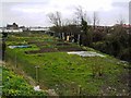 Allotments, Barnfield Close, Swindon (2)