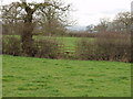 Footpath towards Nantclimbers Wood