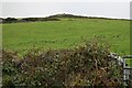 Looking uphill to St Agnes Beacon