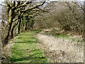 The Bude Canal near Lana.