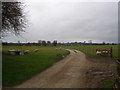 Danby Wiske. Farm track to North Farm.