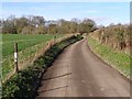 Silkstead Lane between Silkstead and Silkstead Manor Farm