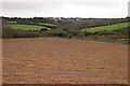 Ploughed Field east of Mingoose