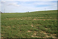 Farmland near Camp Farm