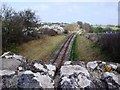 Torbay and Dartmouth Steam railway, looking towards Galmpton