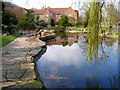 Pond, The Rookery, Preston Park