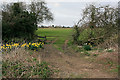 Footpath crosses Clay Street, Whiteparish