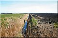 Fen farmland and ditch