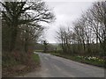 Lane near East Rowden