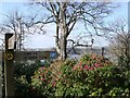 Greenway House, Footpath Signpost, Rhododendrons