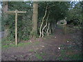 Footpath North from Mount Hill