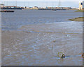 Low tide at Thamesmead