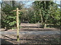 North Downs Way near Juniper Hill