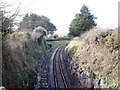 Railway Line , near Golf Course, Churston