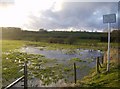 Source of the River Wey