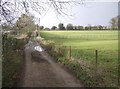 Stoney Lane, Four Marks