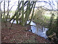 Stream near Cuddington