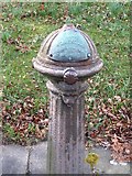 SP3277 : Detail of drinking fountain, Top Green by E Gammie