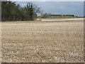 Stubble near Hopcroft