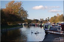 SD5913 : White Bear Marina, on the Leeds & Liverpool Canal, Adlington, Chorley, Lancashire. by Mari Buckley