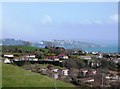 Houses beyond Guzzle Down, Torbay in distance