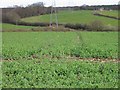 View across farmland towards Greenacre