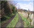 A road at Galahill, Jedburgh