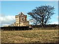 Tower Cottage