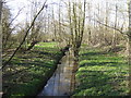 Byng Brook, view upstream