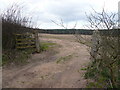 Field view through Open Gate