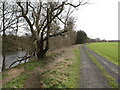 Riverside track near Littlethorpe