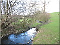 Afon Cadnant above the Maesincla-isaf footbridge