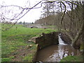 Ornamental bridge and mill-race